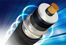 MY���õ���ʵ����;