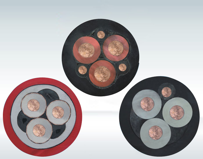 �������׵���YCW����