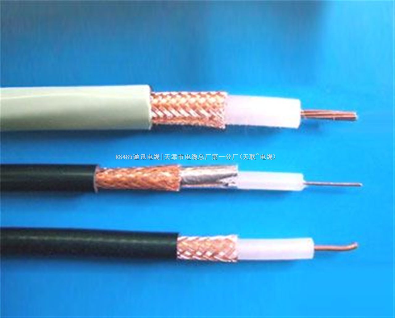 ������Ƶ����