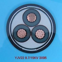 ����ѹ��������