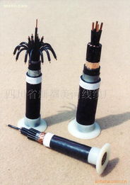 ���ÿ��Ƶ���kvv22