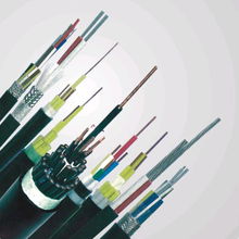 �����ͺ�