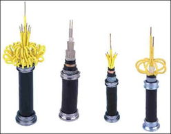 ���Ƶ���