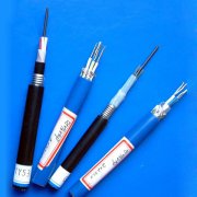 ���ù���