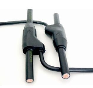 Ԥ��֧����