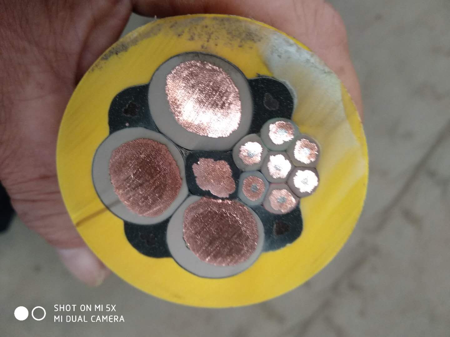 MYP���õ�������